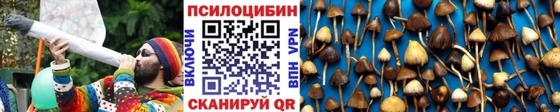 Псилоцибиновые грибы Magic Shrooms  blacksprut онион  Белозерск 
